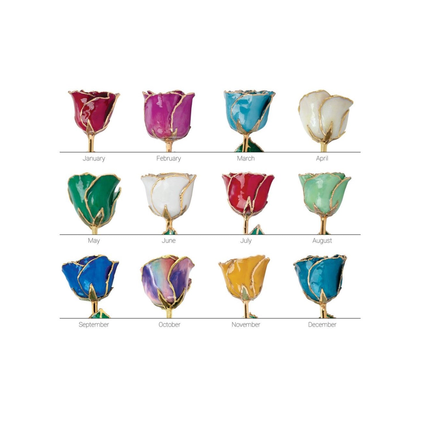 February - 24K Gold Trimmed Birthstone Rose