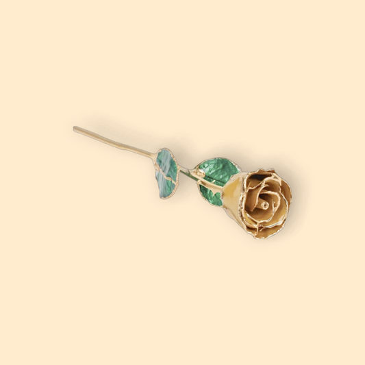 November - 24K Gold Trimmed Birthstone Rose