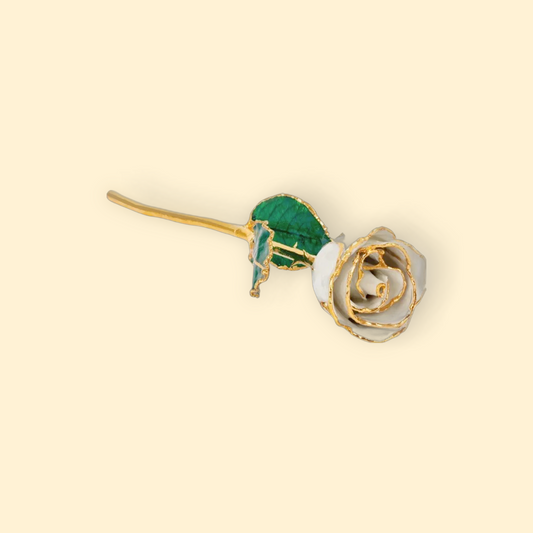 June - 24K Gold Trimmed Birthstone Rose