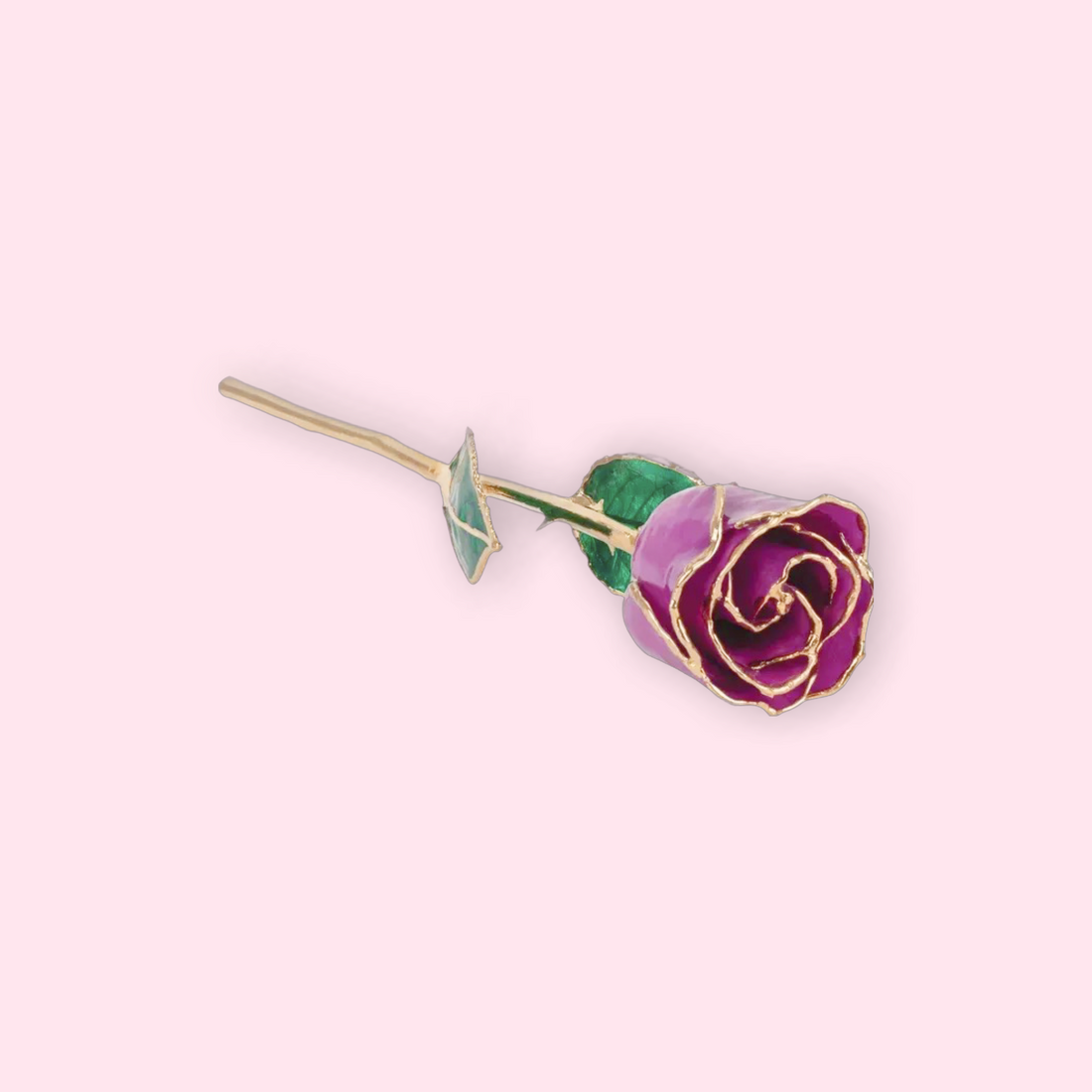 Purple rose with green leaves on a pink background