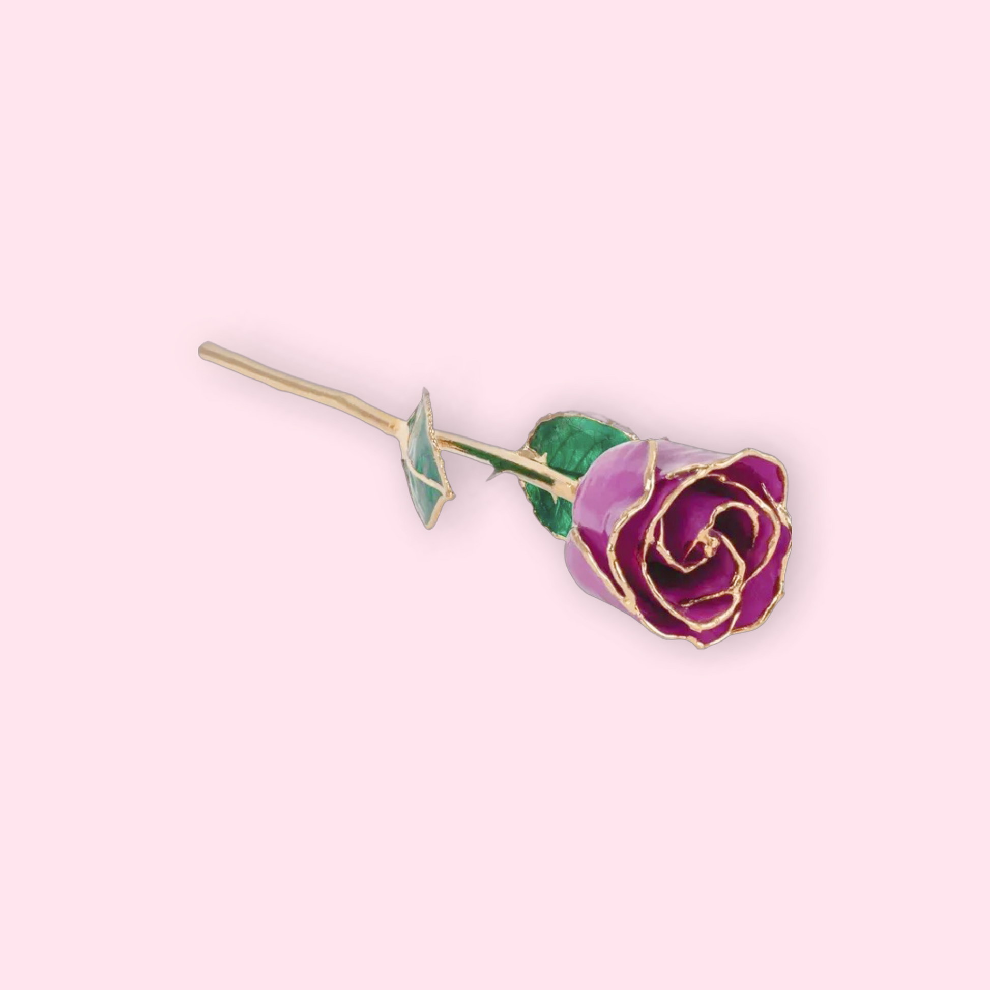 Purple rose with gold outline on a light pink background