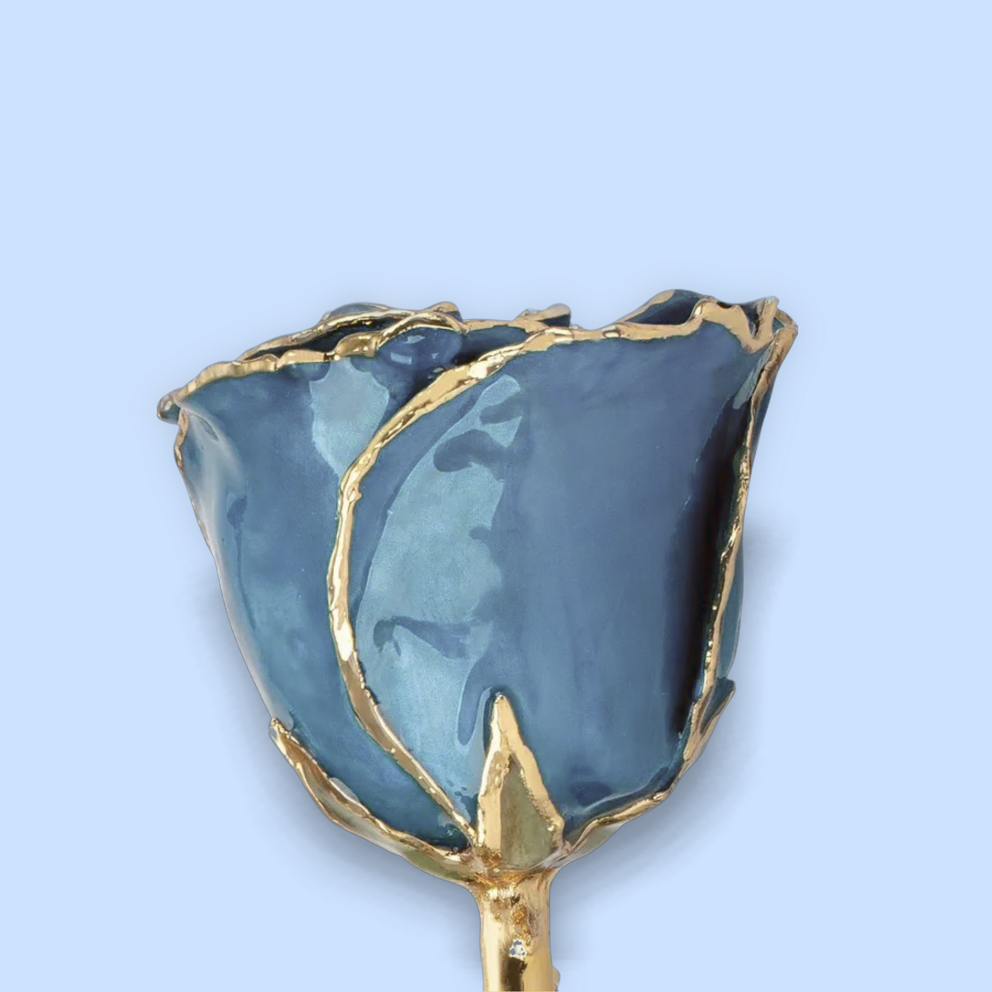 December - 24K Gold Trimmed Birthstone Rose