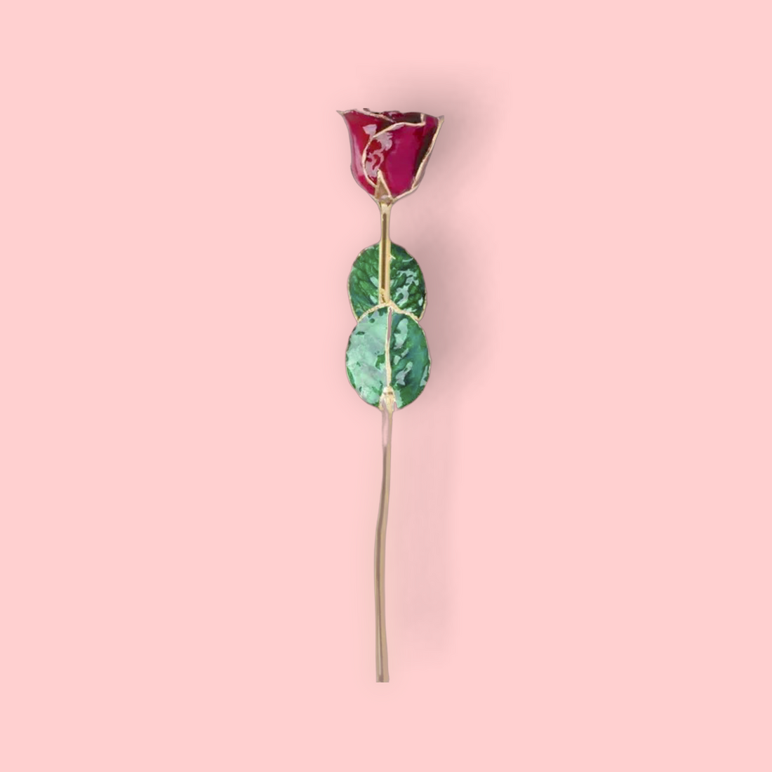 Decorative rose with pink flower and green leaves on a pink background