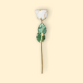 Decorative rose with green leaves and gold accents on a beige background