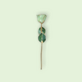 Green gemstone brooch on a light green background