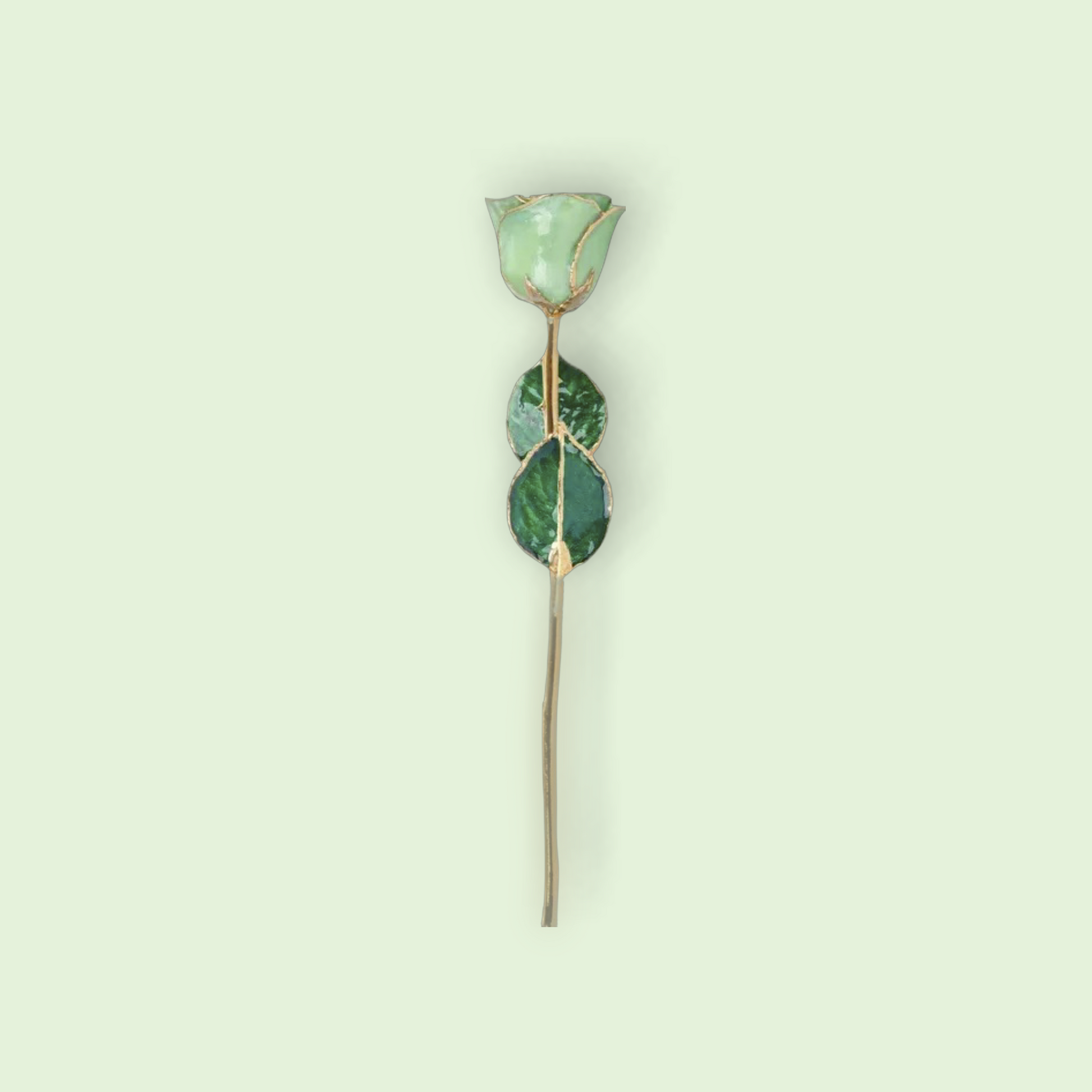 Green gemstone brooch on a light green background