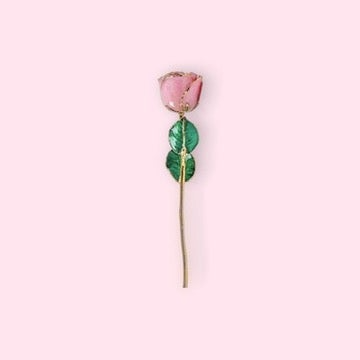 Pink rose with green leaves on a light pink background