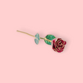 Gold rose with red petal and green leaves on a pink background