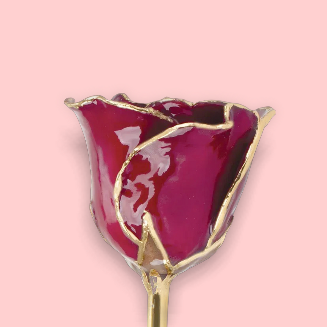 Lacquered Garnet Colored Rose with 24K Gold Trim