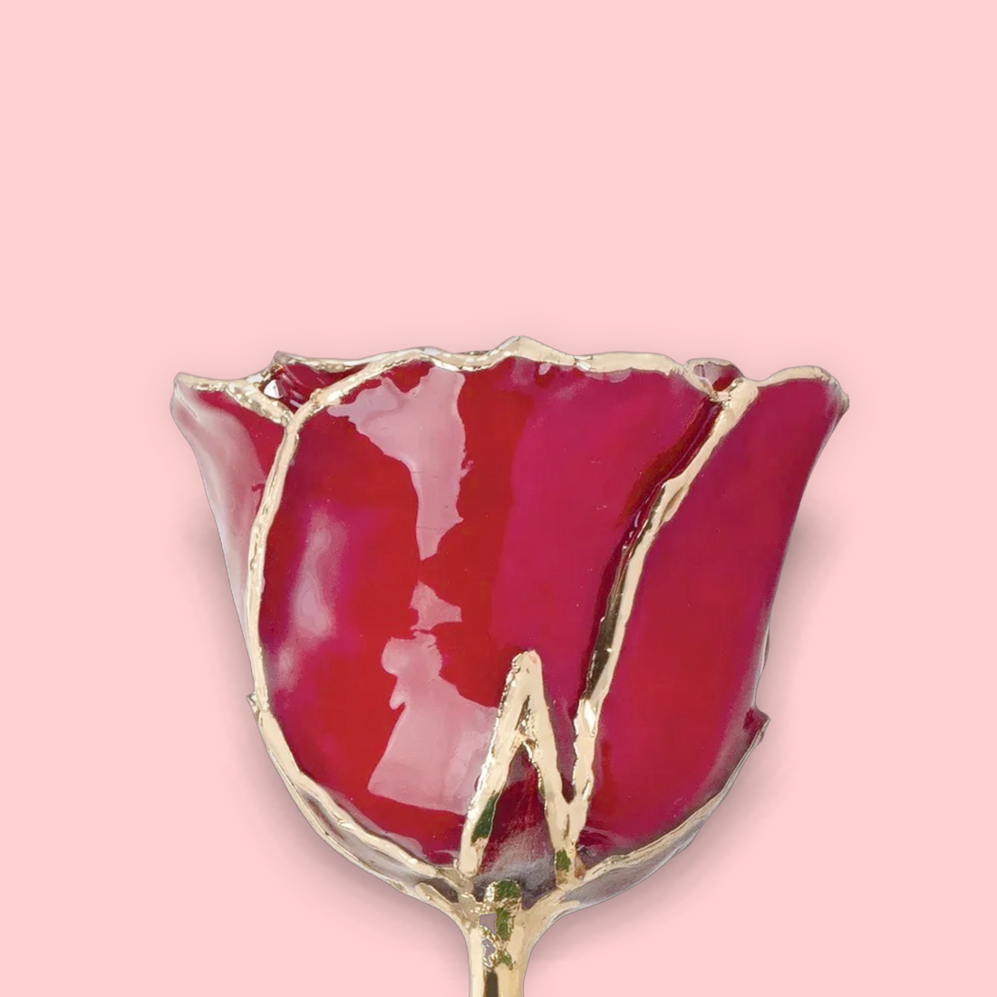 Lacquered Red Rose with 24K Gold Trim