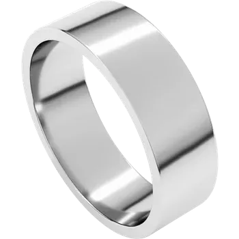 Silver ring on a white background