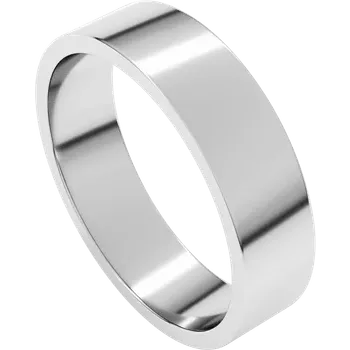 Silver ring on a white background