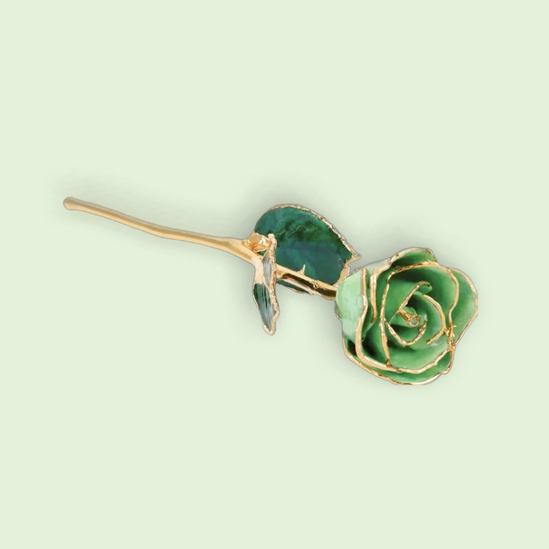 Green gemstone brooch on a light green background