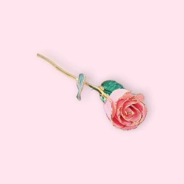 Decorative rose with gold stem on a light pink background