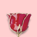 Red rose with gold edge on a pink background