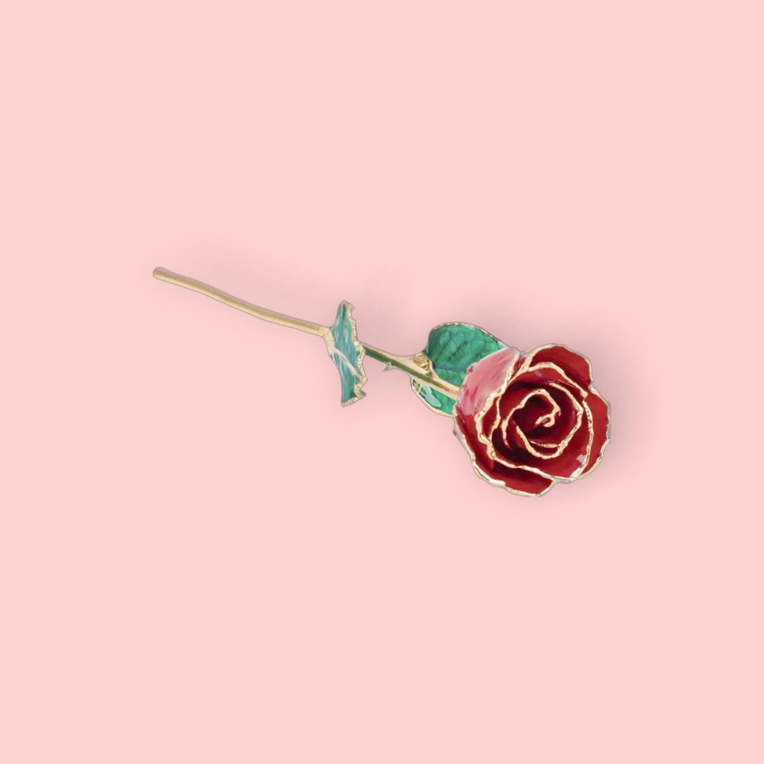 Red rose with gold stem on a pink background
